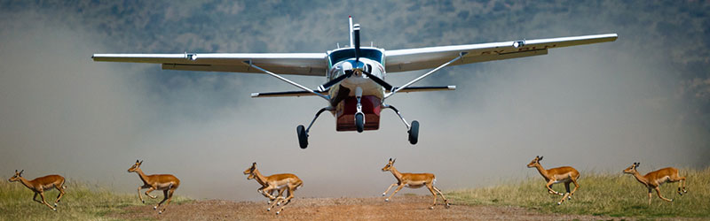 Samburu-air-safari